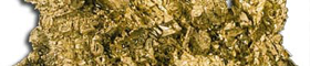 comprooroaltrecarature comprooroaltrecarature